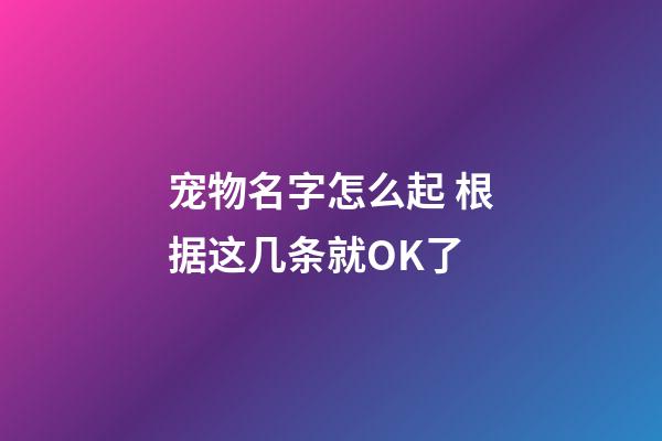 宠物名字怎么起 根据这几条就OK了